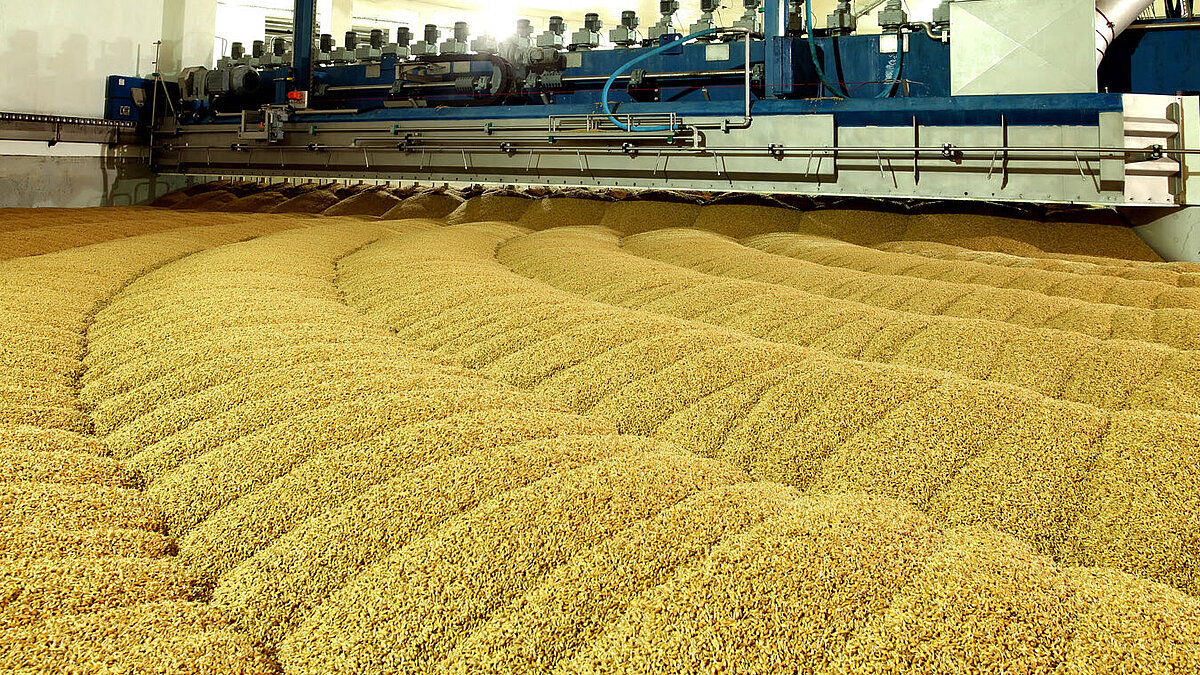 Malzindustrie: GvW berät kanadisches Agrar- und Lebensmittelunternehmen bei...